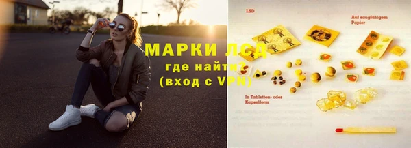 apvp Алзамай