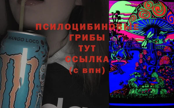 apvp Алзамай