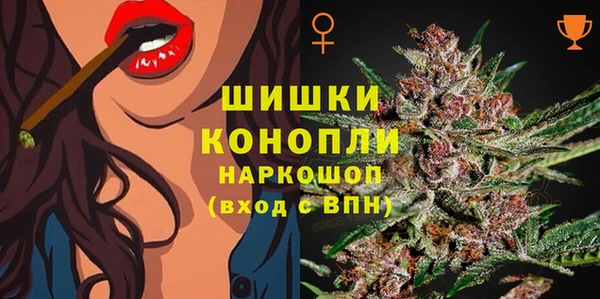 бошки Пересвет