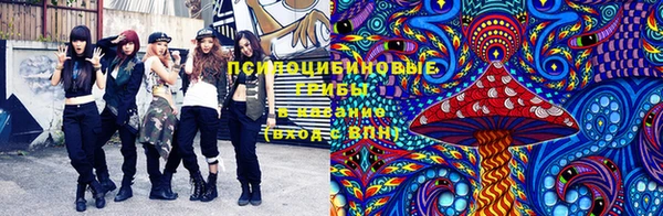 apvp Алзамай