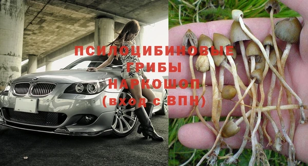 тгк Абдулино