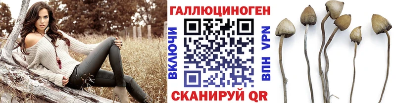 Псилоцибиновые грибы Psilocybe  Сольвычегодск 
