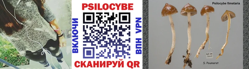 Псилоцибиновые грибы ЛСД Сольвычегодск